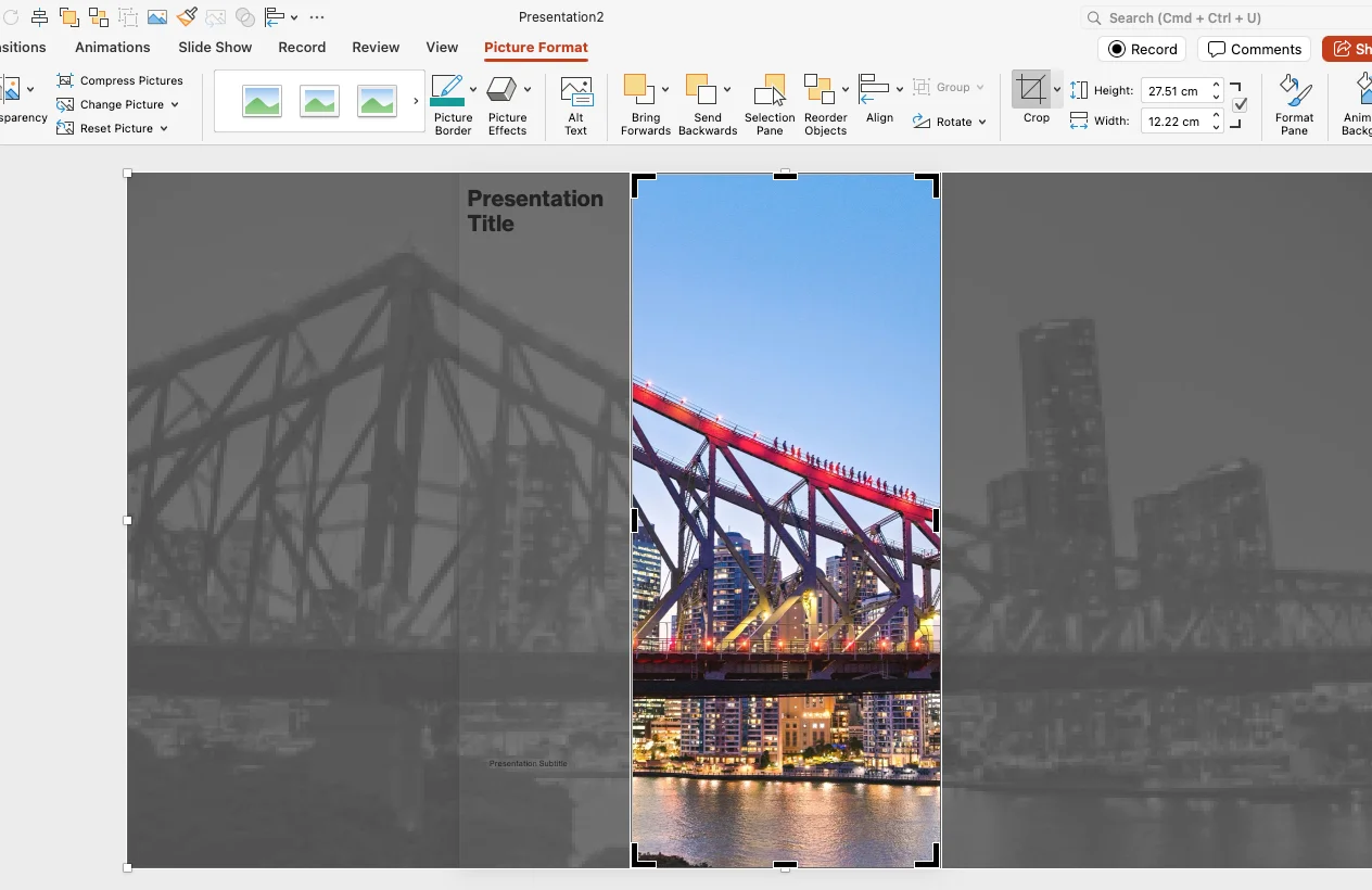 PowerPoint crop mode after Fill: the full photo is shown greyed out around the visible area so it can be repositioned