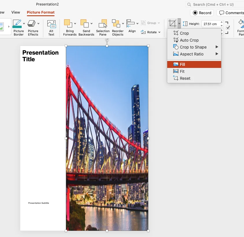 PowerPoint Picture Format tab with the Crop menu open and Fill highlighted